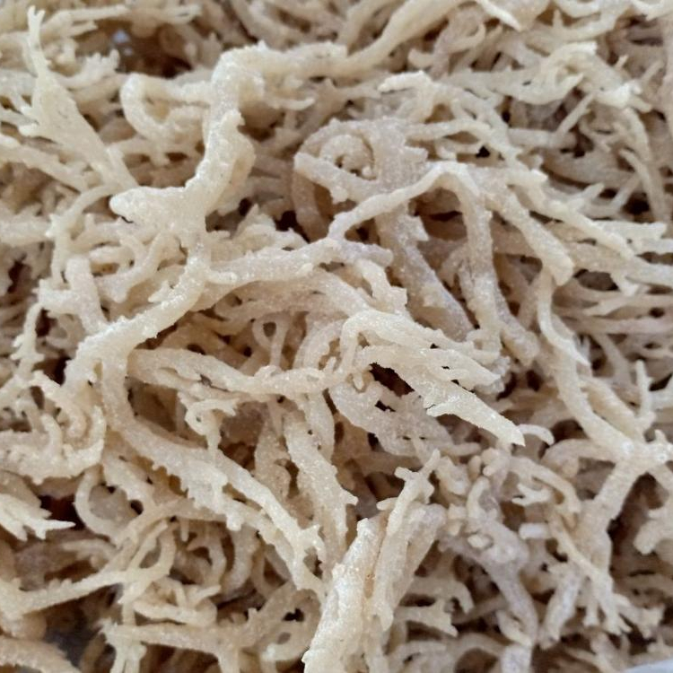 Eucheuma Cottonii (a.k.a. Sea Bird Nest) from Vietnam,Vietnam price ...