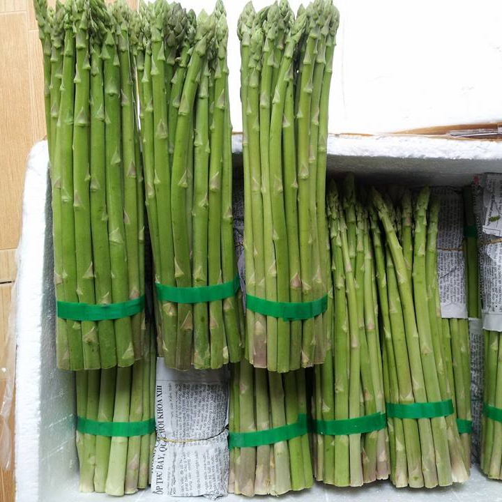 Fresh asparagus - high quality for exporting 2020,Vietnam price ...