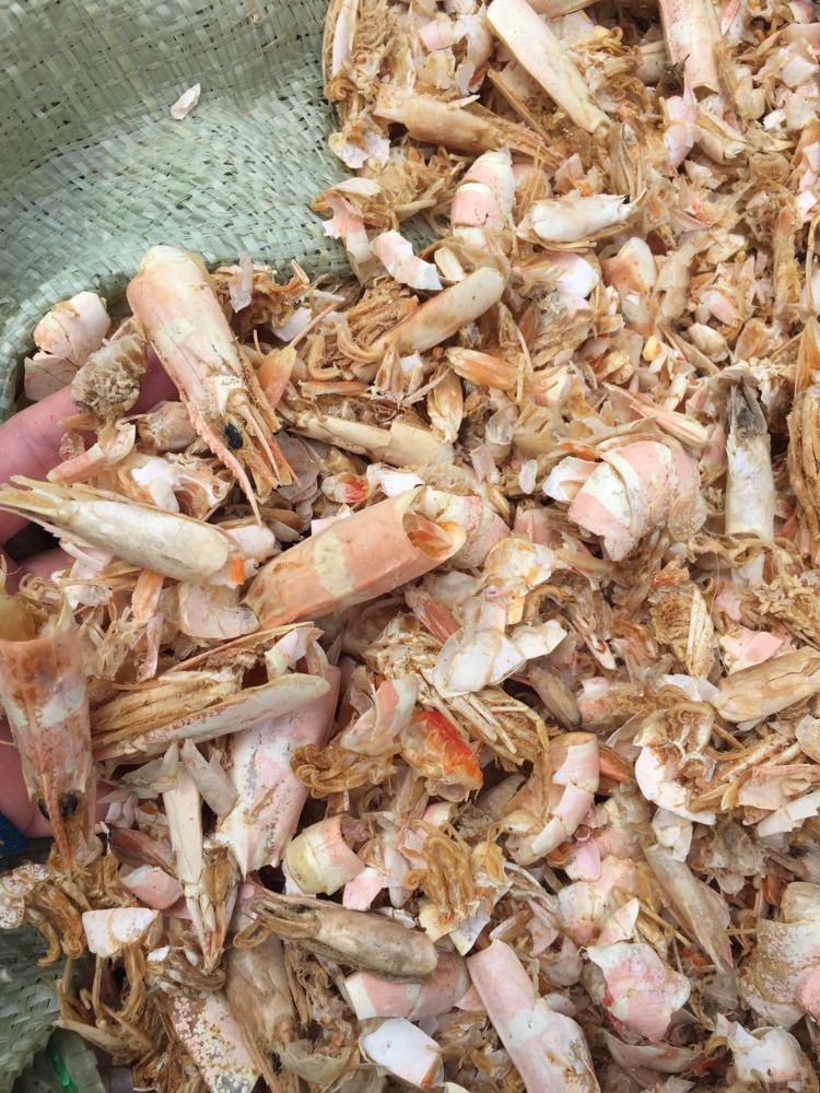 Shrimp Shell meal from VietNam with best price,Vietnam price
