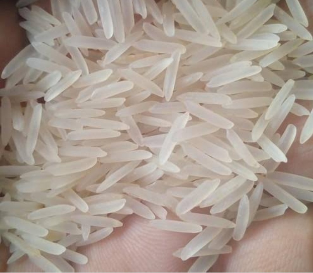 Indian long grain pure 1121 white sella Basmati Rice,India price