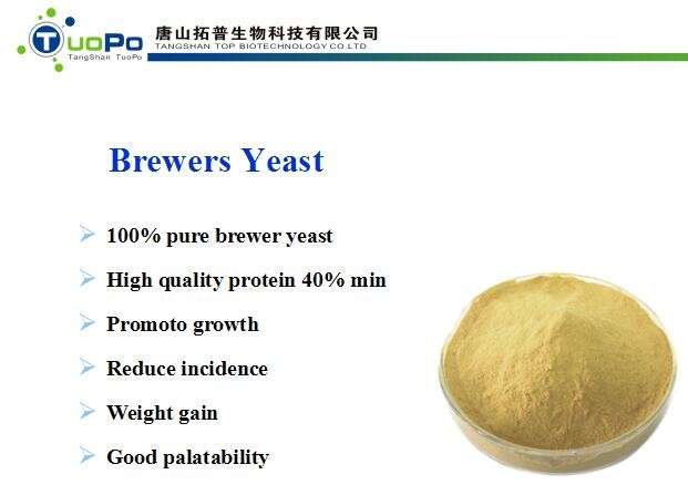 Brewer yeast powder (Feed grade, 100% natural, green, GMO free, animal free, no poison) price rich in beta glucan mannan