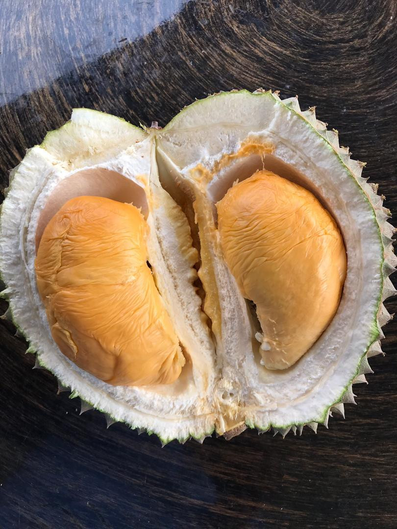 Where To Buy Black Thorn Durian In Singapore