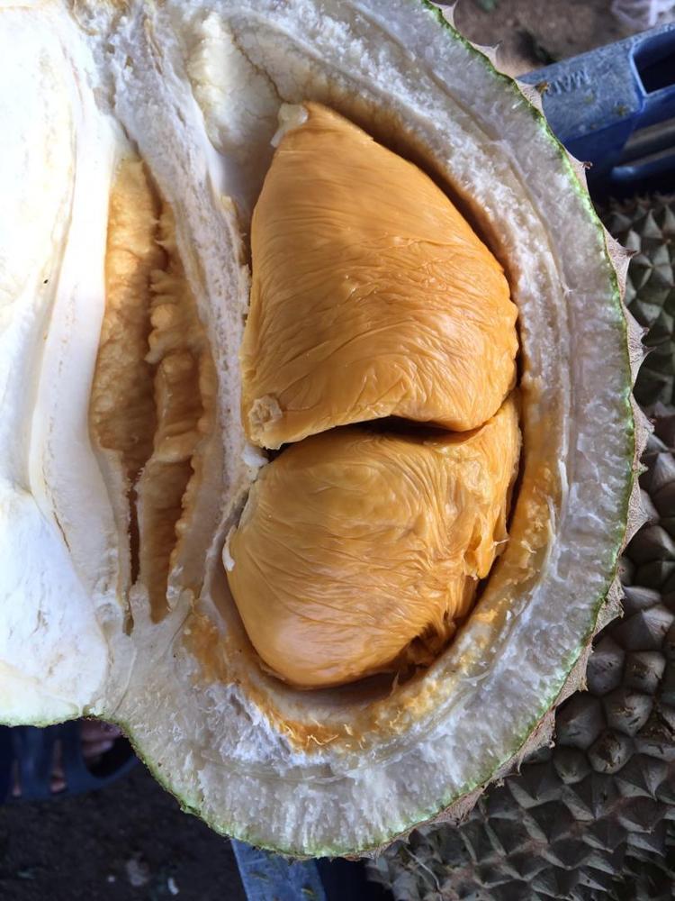 Premium Fresh Juicy Black Thorn Whole Durian Best ...
