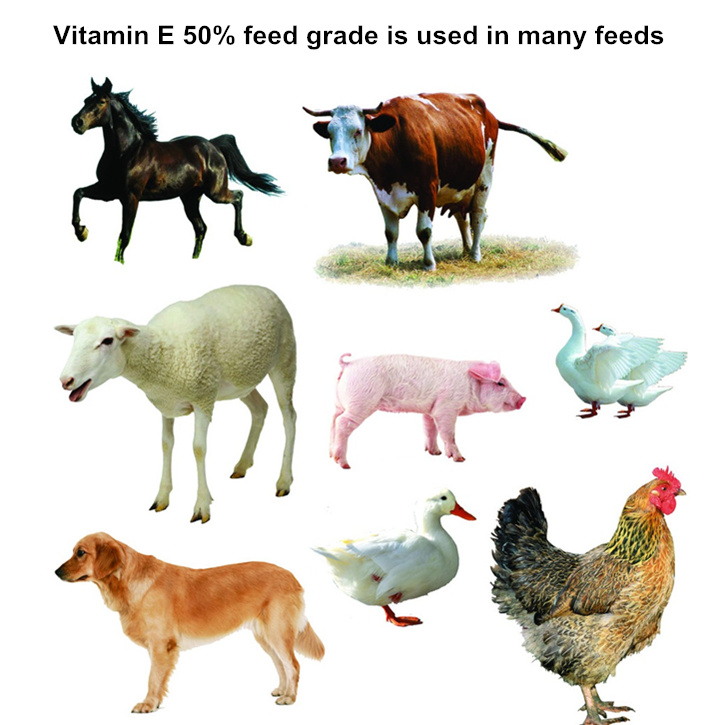 Good quality Vitamin E 50% Water-soluble feed grade and food grade with favorable price
