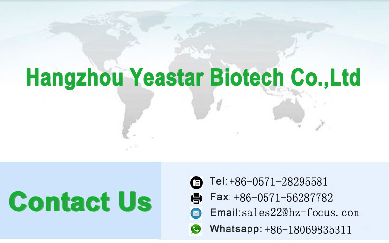 Good color tomato paste in bulk drum/tin