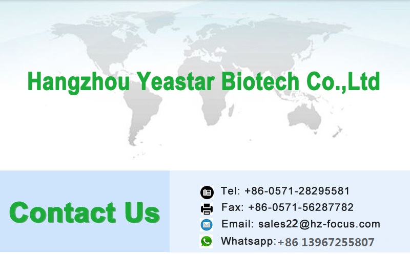 Chinese Factory Supply Best Price Bulk Sucralose 1kg Powder support sample