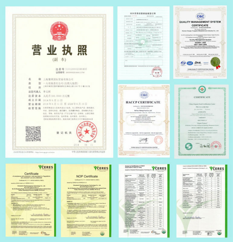 Guava Leaf extract / Guava Leaf whole / powder