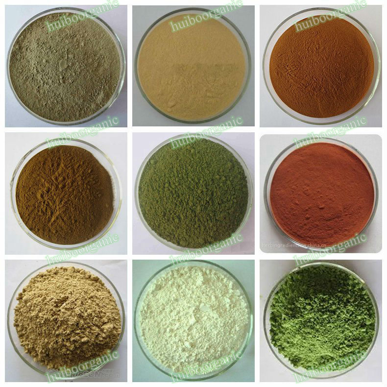 Guava Leaf extract / Guava Leaf whole / powder