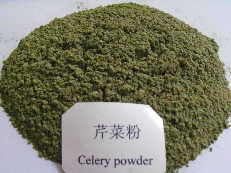 wholesale dried celery powder bulk