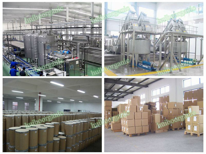 wholesale dried celery powder bulk