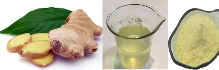 Water Soluble Ginger Powder Gingerols 0.5% 1% 10% HPLC Ginger Extract 6-Gingerol