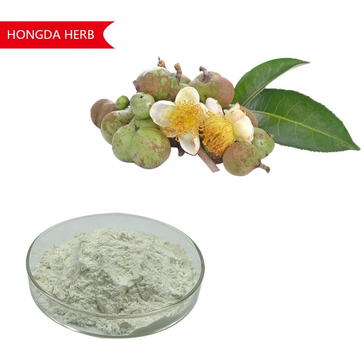 HONGDA 98% Camellia Sinensis Seed Extract Tea Saponin For Cosmetic