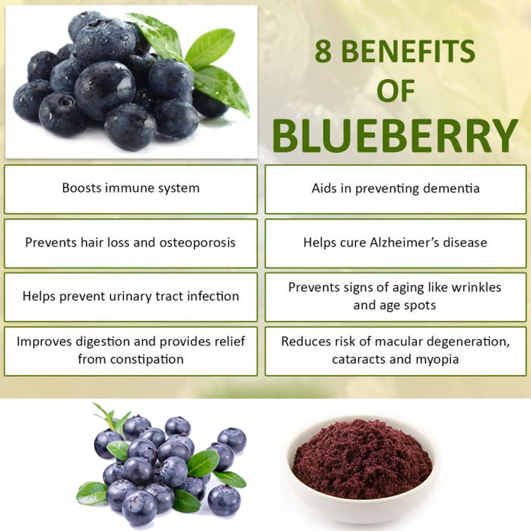 HONGDA Wholesale Organic Blueberry Juice Extract Powder Anthocyanin Blueberry  Extract,China price supplier - 21food