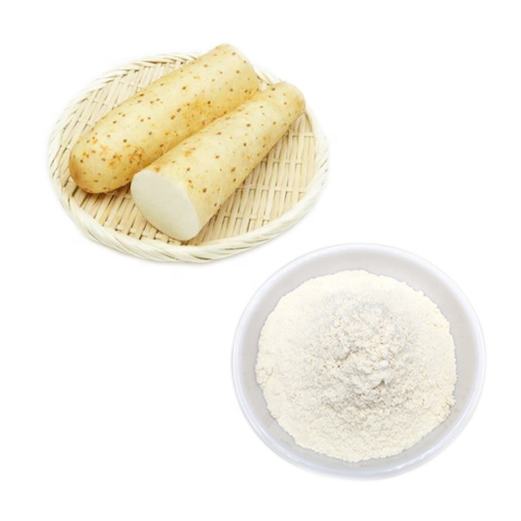 Wholesale Wild Yam Powder Diosgenin