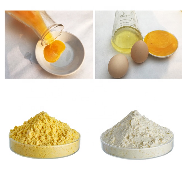 HONGDA Egg Yolk Powder Price Egg Yolk For Skin Whitening China