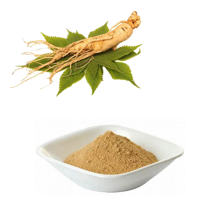 Ginseng Powder Ginseng Root Extract Ginseng Extract Panax Notoginseng Extract China Price