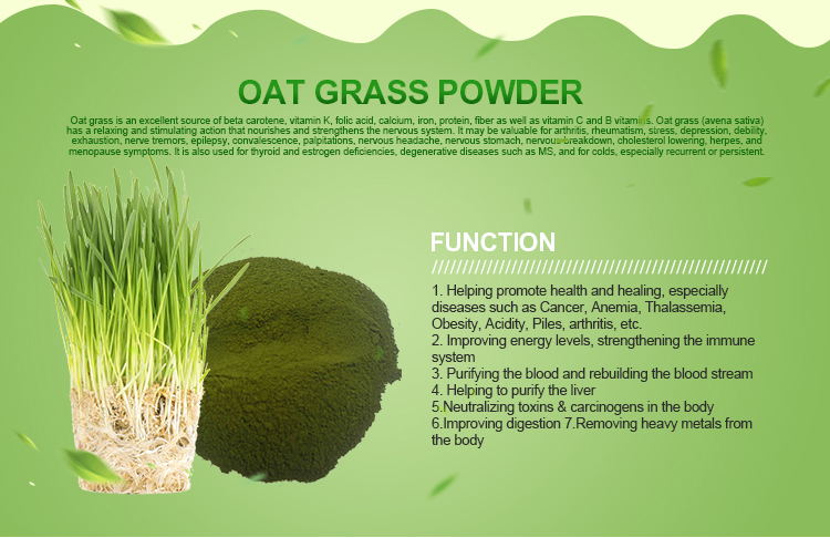 Organic Wheatgrass Powder Wholesale Wheat Grass Powder Organic Wheat Grass Powder