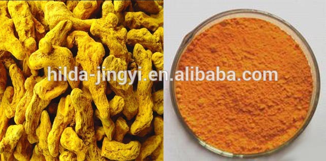 Pure curcumin extract turmeric root powder wholesale