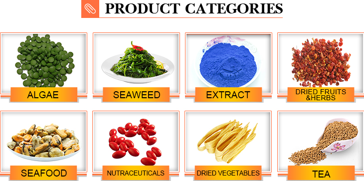 Hot Sale Low MOQ Delicious Wheat Flour Noodle Japanese Ramen Noodle Fresh Udon Noodle