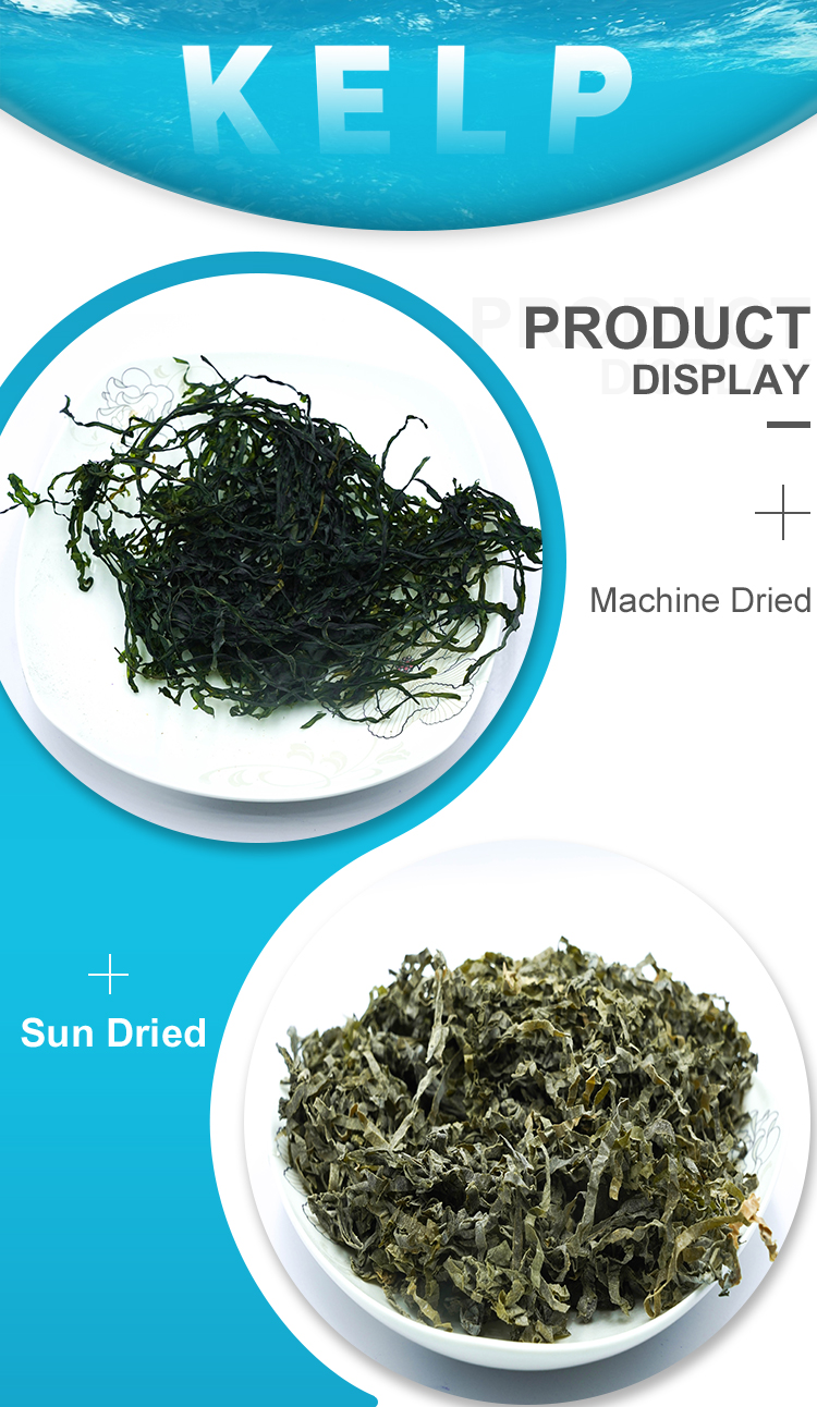 Top Quanlity Shredded Seaweed Laminaria for Wholesale - China Shredded  Seaweed Laminaria, Kelp Cut