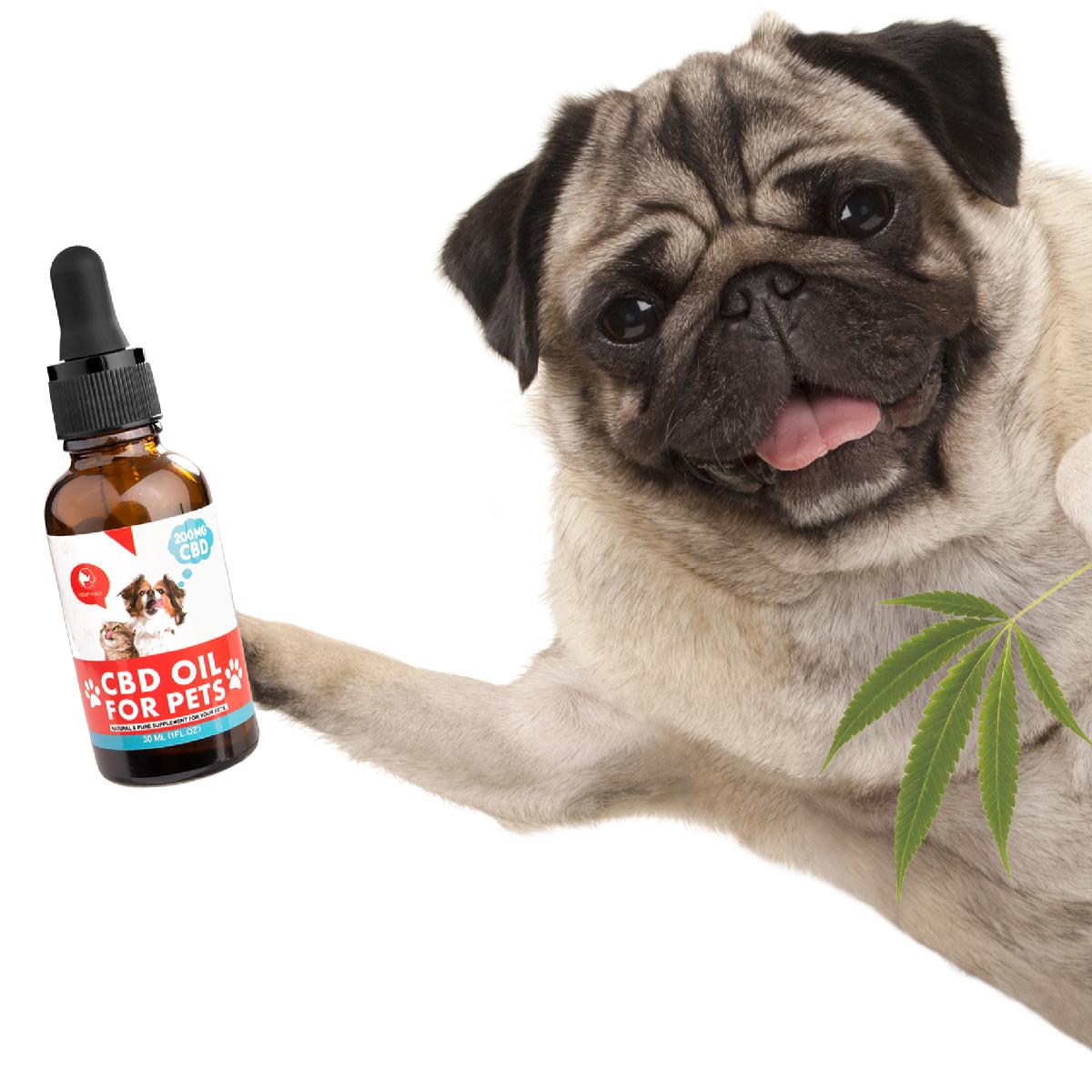 Organical tasty hemp drops for dogs CBD pets oil with Vitamin A&E and Omega3,6&9