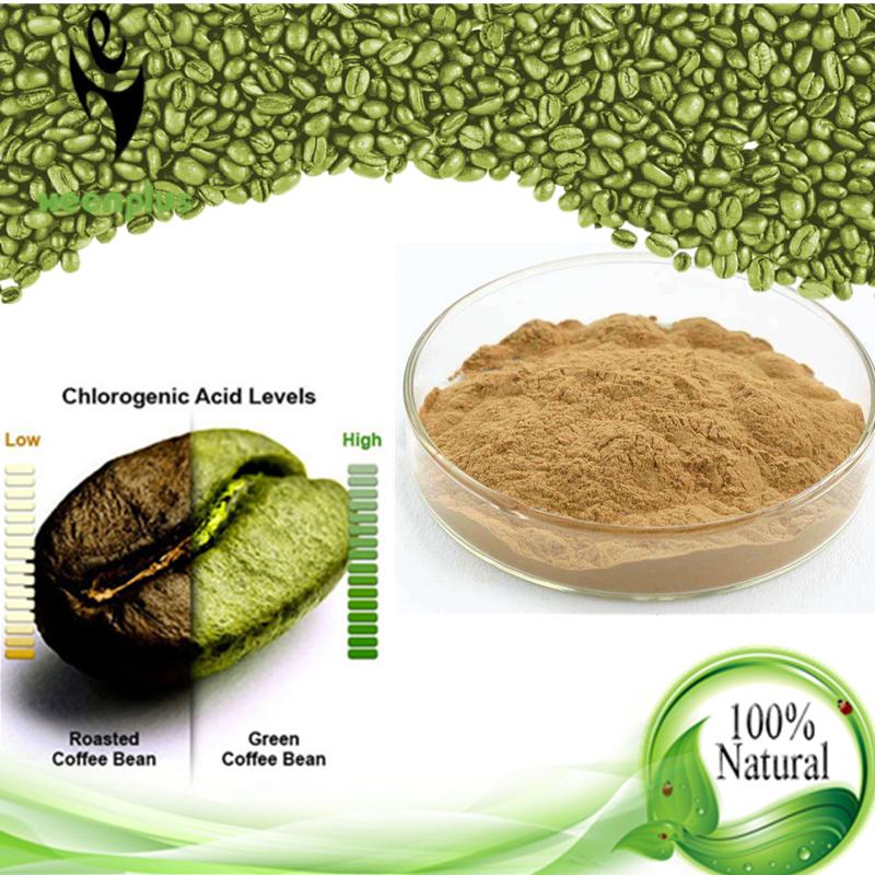 50% chlorogenic acid Arabica Green Coffee bean extract ...