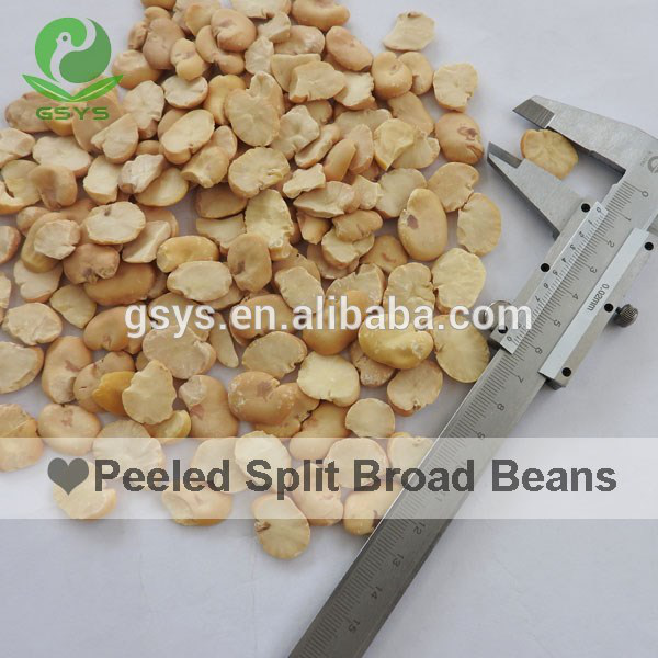 Fresh Crop Split Broad Beans Peeled For Sale