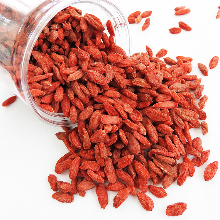 Hot Sale Goji Berry With Export Dried Goji Berry China Price Supplier