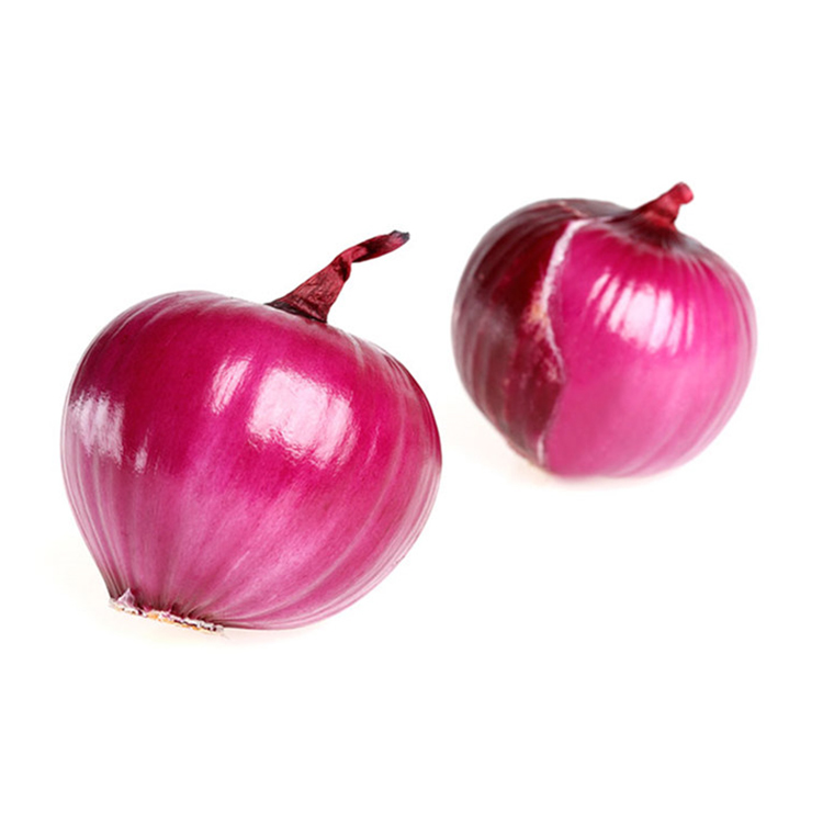 Export Grade China Fresh Red Onion for sale