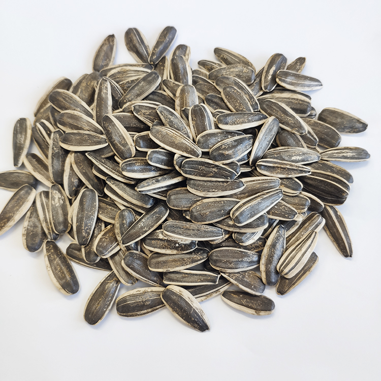 Crop sunflower seed 5009 market price for sale with export sunflower