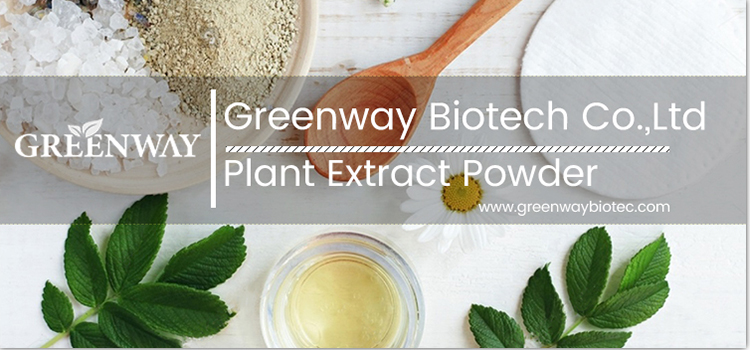 Greenway Produced Food Additives Curcumin Extract 95% Bulk Organic Turmeric Curcumin Powder
