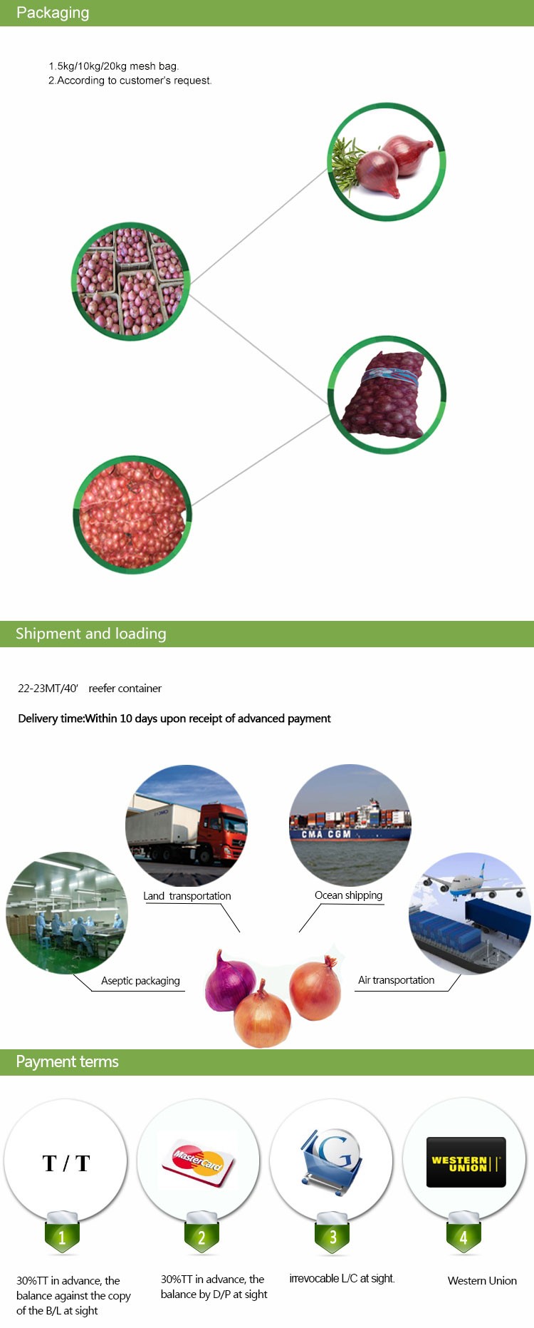 Export fresh red onion with premium quality