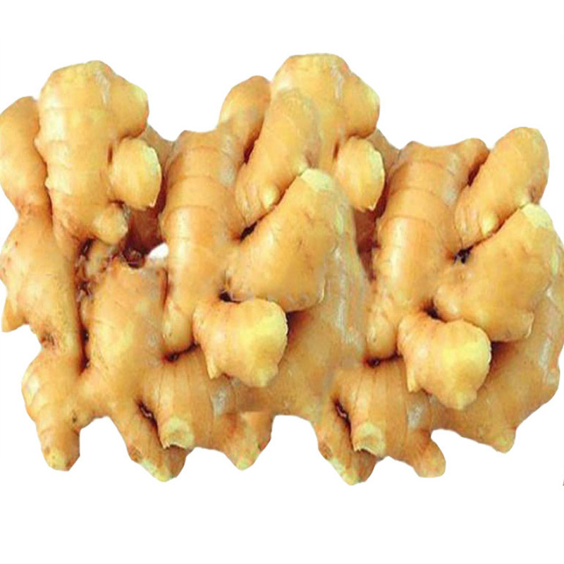 fresh-ginger-specification-china-price-supplier-21food