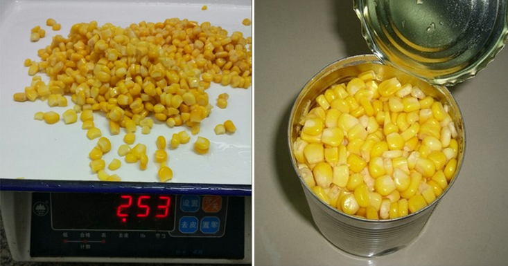 Experienced pass KOSHER export canned food baby corn