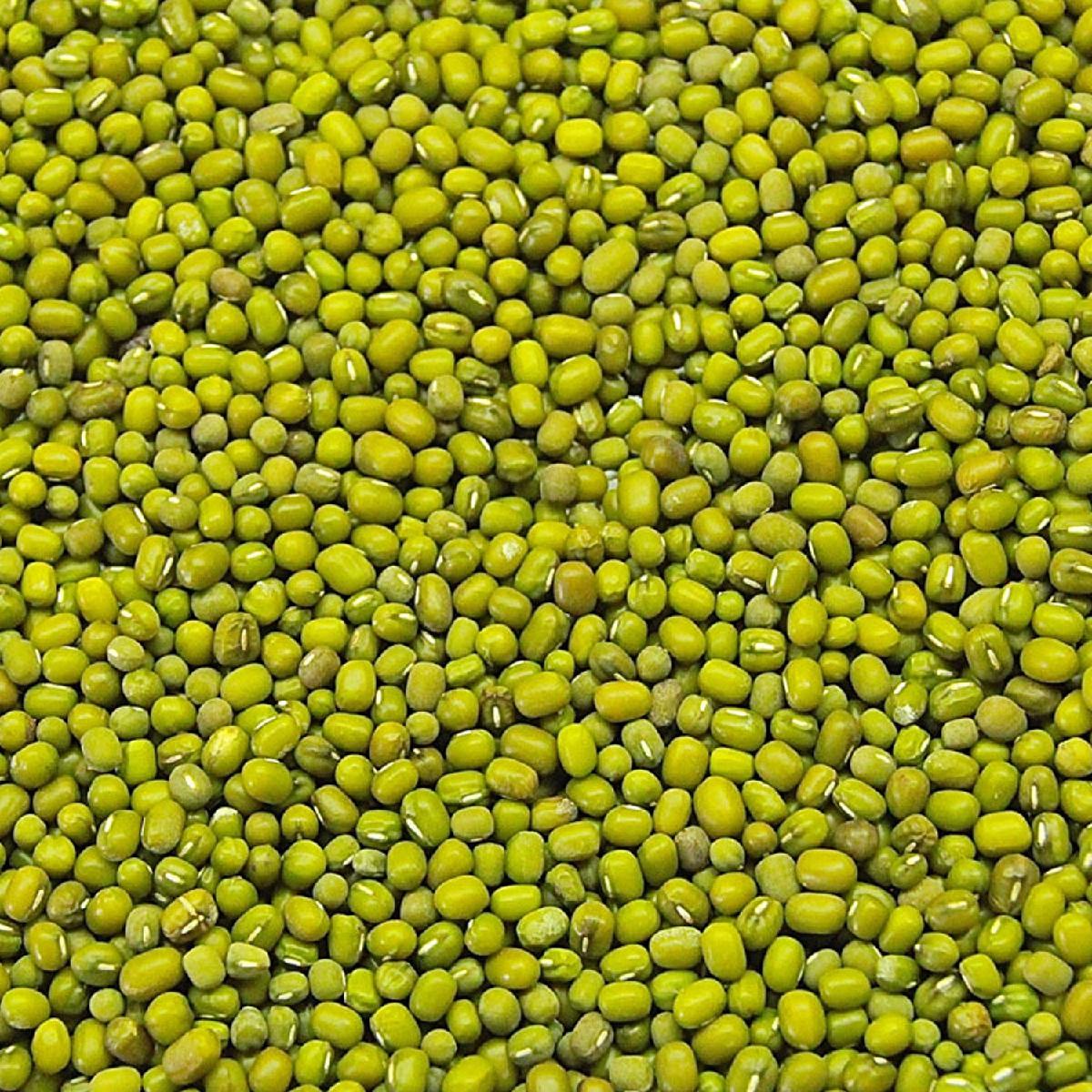 green-moong-dal-moong-dal-gmb-grains-india-price-supplier-21food