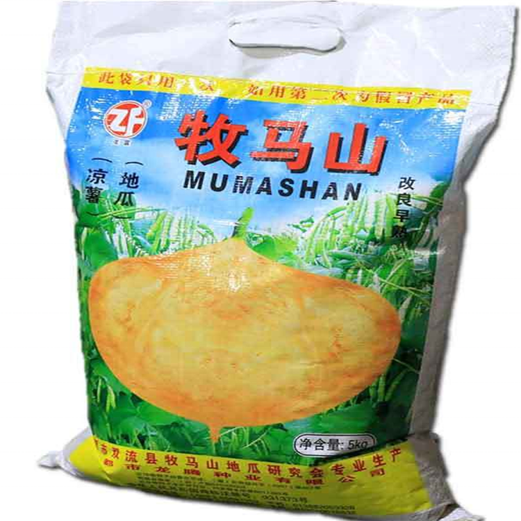 High Germination Yam Bean Seeds Jicama Seeds for planting