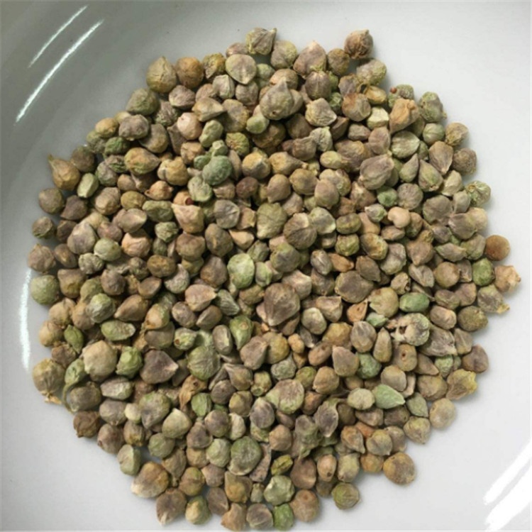 F1 hybrid spinach spinage seeds for growing