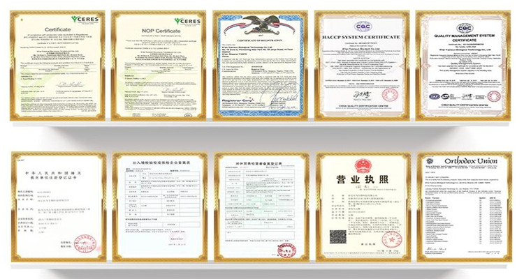 Factory Supply Tai Xing Specialty Yin Xing Nai Cha Ginkgo Biloba Seeds Milk Tea Powder for Drinking