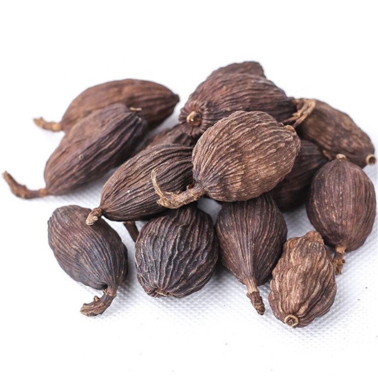 Cao Guo High Quality Chinese seasoning Fructus Tsaoko whole fruit seeds ...