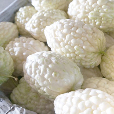New Brand Original Packaging F1 Hybrid White Balsam Pear Seeds