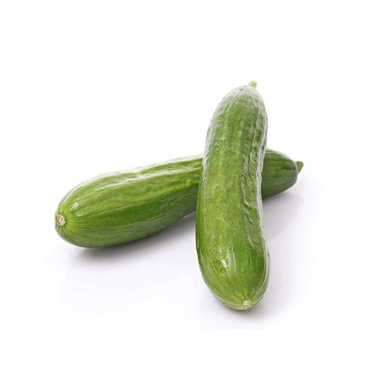 Chinese Vegetable Seeds Hybrid F1 Fruit Cucumber seeds,China price ...