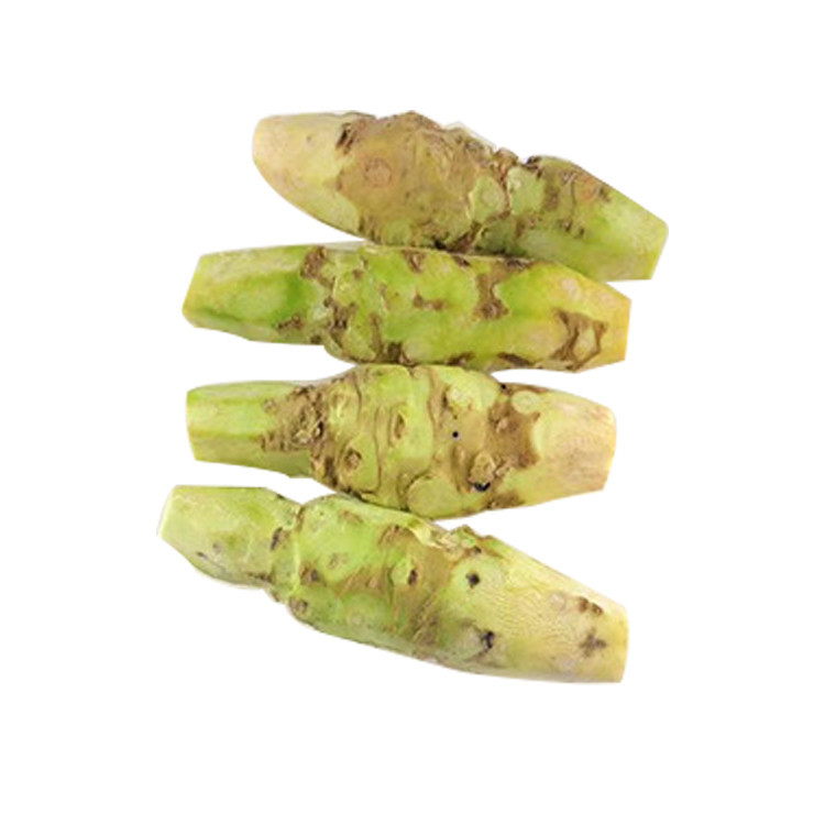 Shan Kui Gen Fresh Eutrema Japonicum/Japanese Horseradish/Wasabi Root