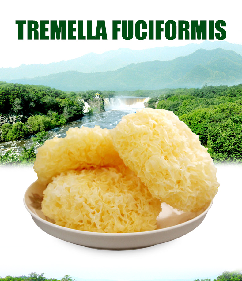High quality organic tremella fuciformis silver ear mushroom dried white fungus