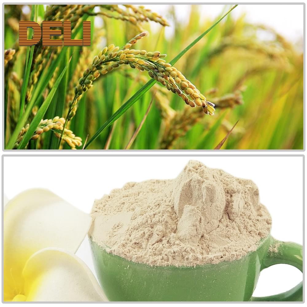 Bulk pure pea rice protein powder price for sale
