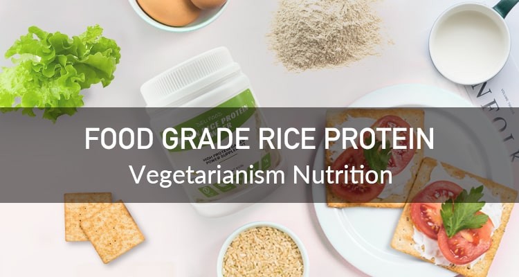 Vegetable Protein Powder Manufacturer Organic Rice