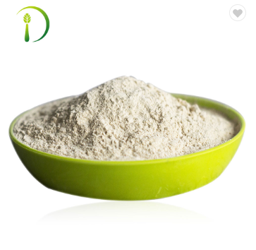 Vegetable Protein Powder Manufacturer Organic Rice
