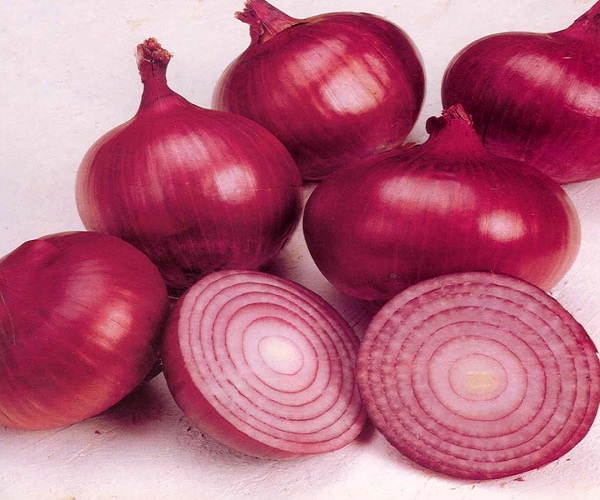 Fresh Onions,Yellow Onion ,Red onion At cheap Price