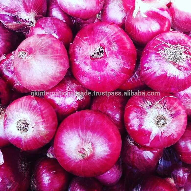 Fresh Onions,Yellow Onion ,Red onion At cheap Price