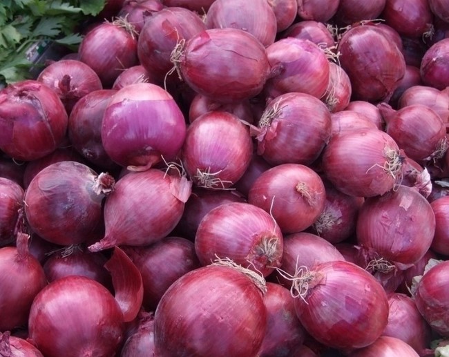 wholesale Fresh Red /whole Yellow onion /shallots