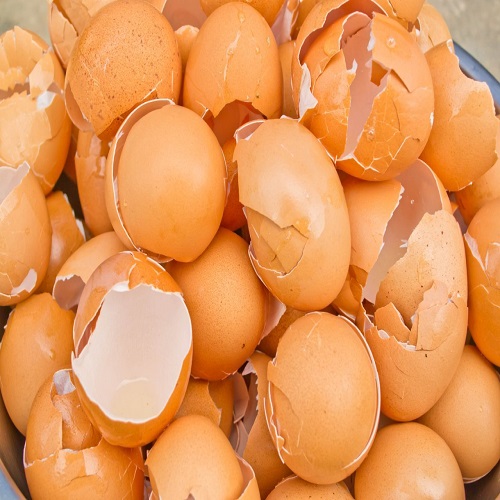 100-egg-shell-powder-from-thailand-usa-united-states-price-supplier